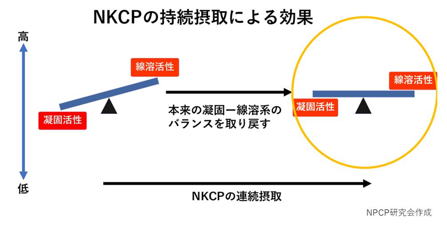 NKCP研究会