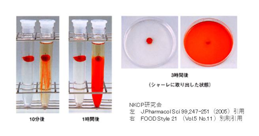 NKCP研究会